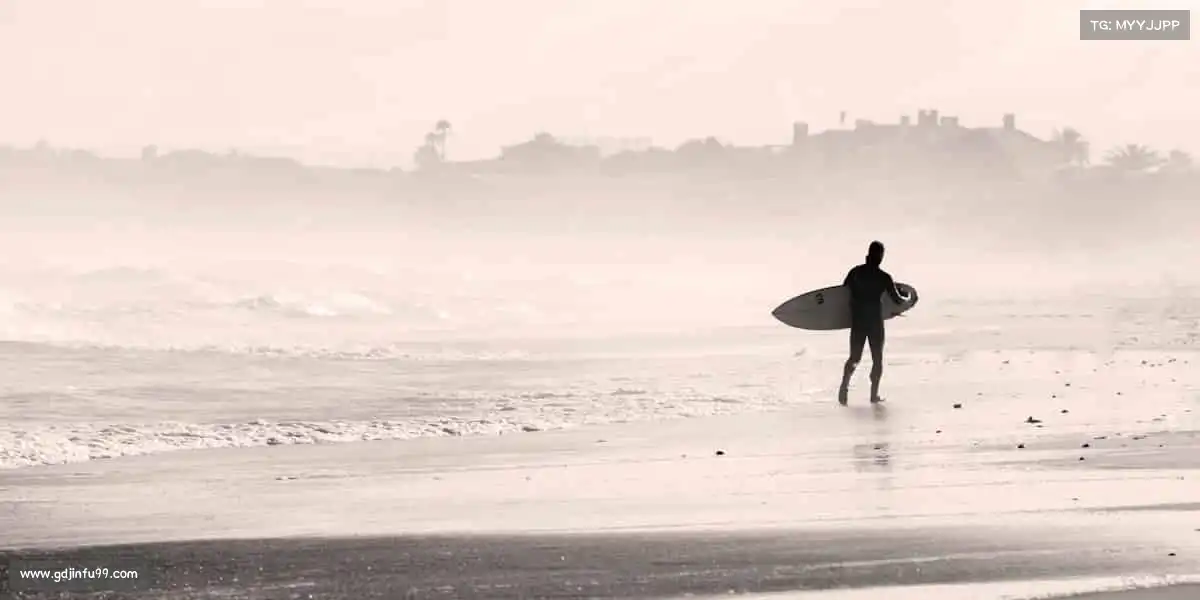 为什么选择我们